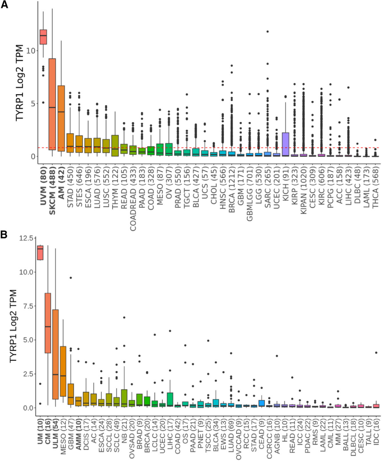 The target for regulating melanin production TYRP1