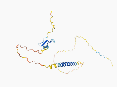 The target of B-cell activating factor receptor BAFFR