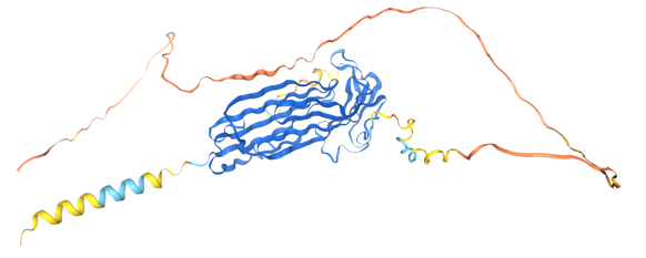 The target of Domain Containing3 LYPD3