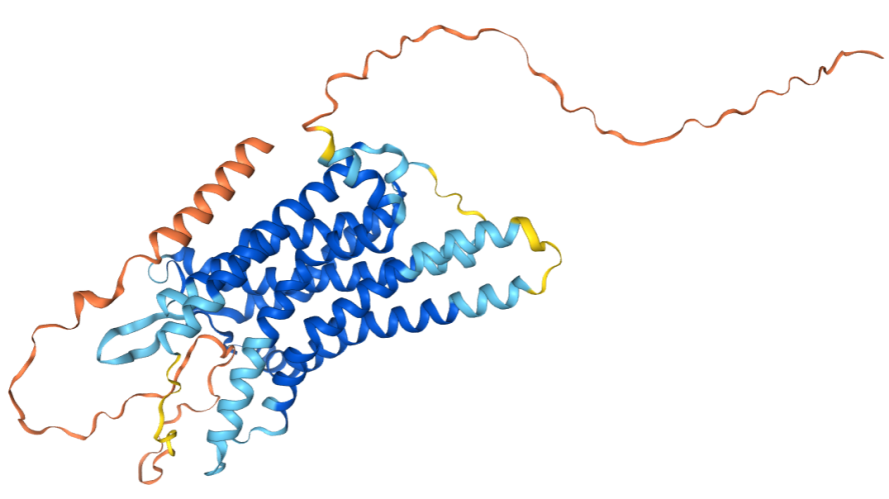 The target of Endothelin 1 receptor EDNRA