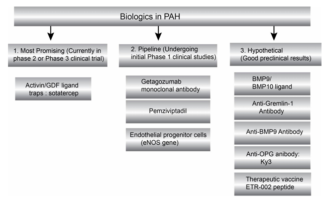 The target of Endothelin 1 receptor EDNRA