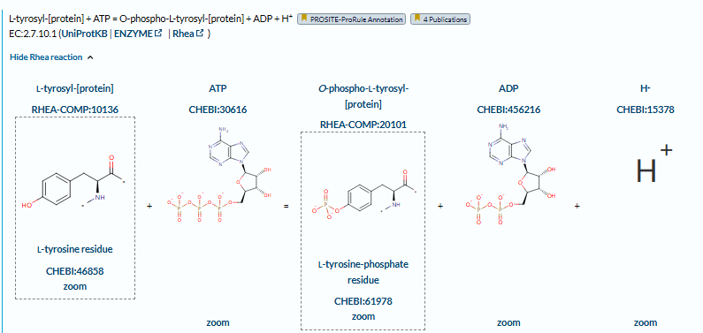 The target of Fibroblast growth factor receptor2 FGFR2