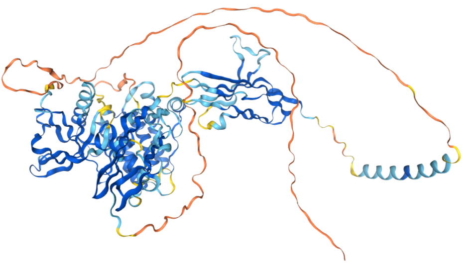 The target of Fibroblast growth factor receptor2 FGFR2