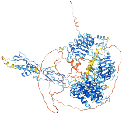 The target of Insulin receptor INSR