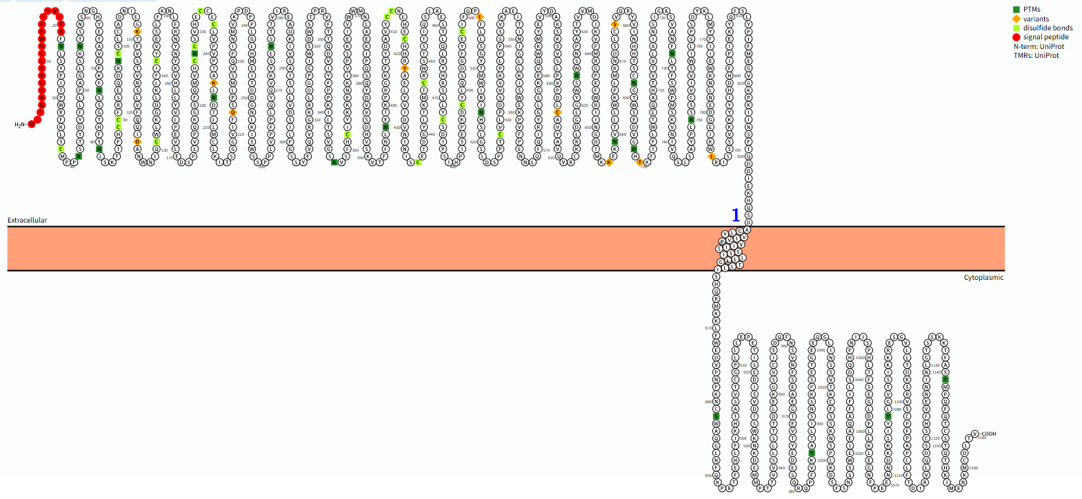 The target of Leptin receptor LEPR