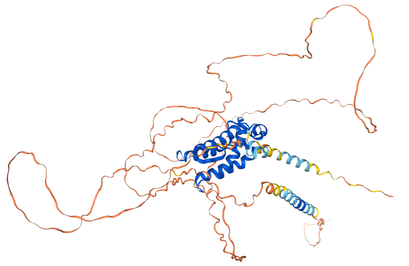 The target of Macrophage colony stimulating factor 1 CSF1
