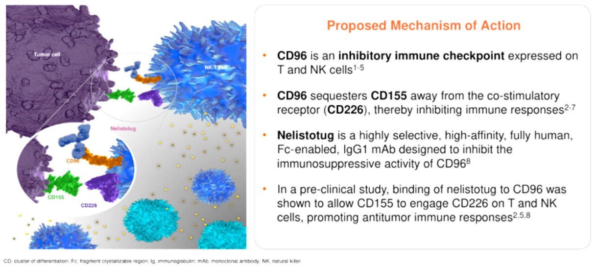 The target of T cell surface protein tactile CD96