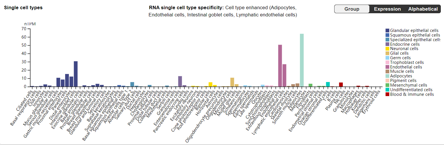 The target of angiogenesis regulation is DLL4
