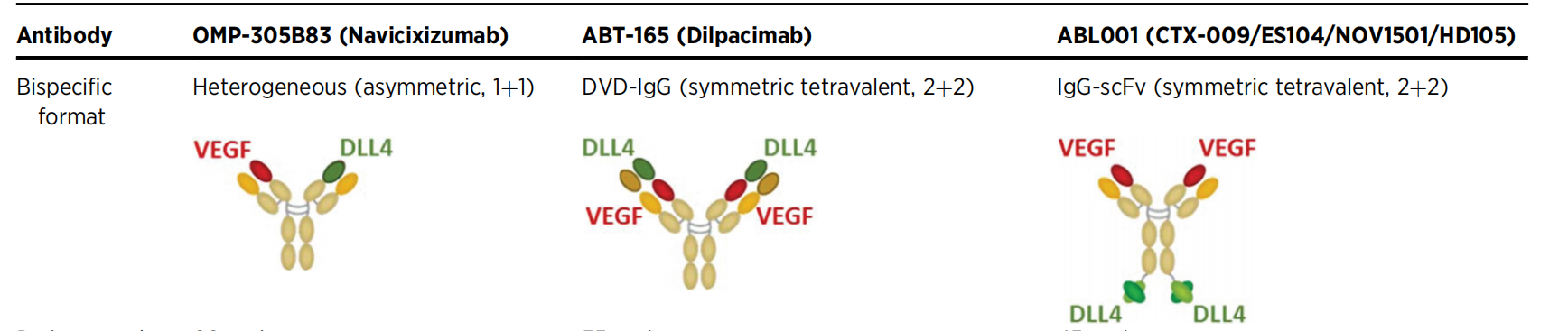 The target of angiogenesis regulation is DLL4