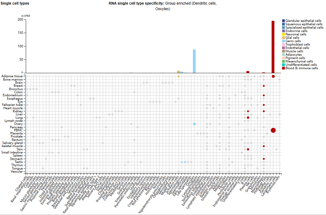 The therapeutic target of systemic lupus erythematosus BDCA2