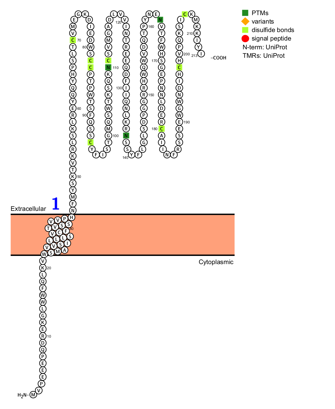 The therapeutic target of systemic lupus erythematosus BDCA2