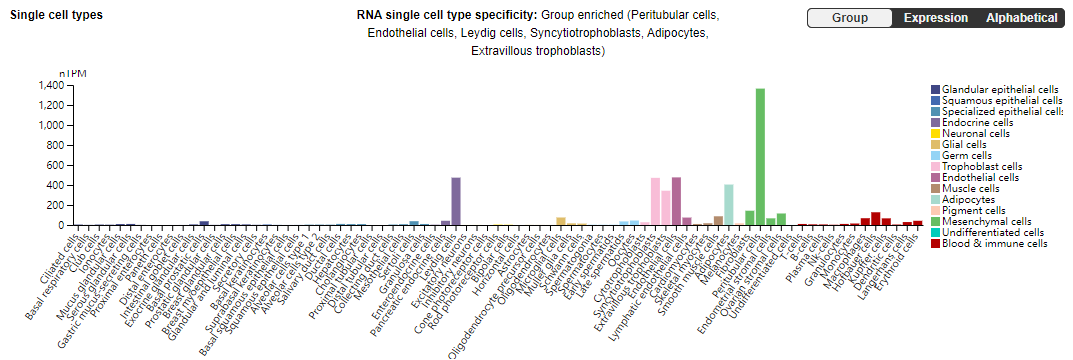 The vascular disease marker CD105