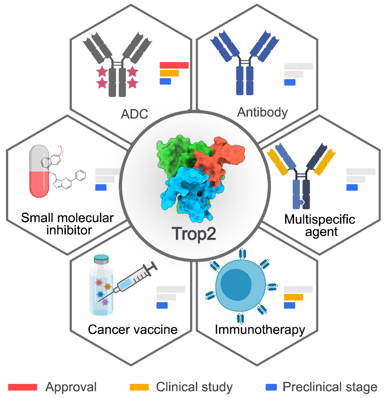 Trophoblast cell surface antigen TROP2