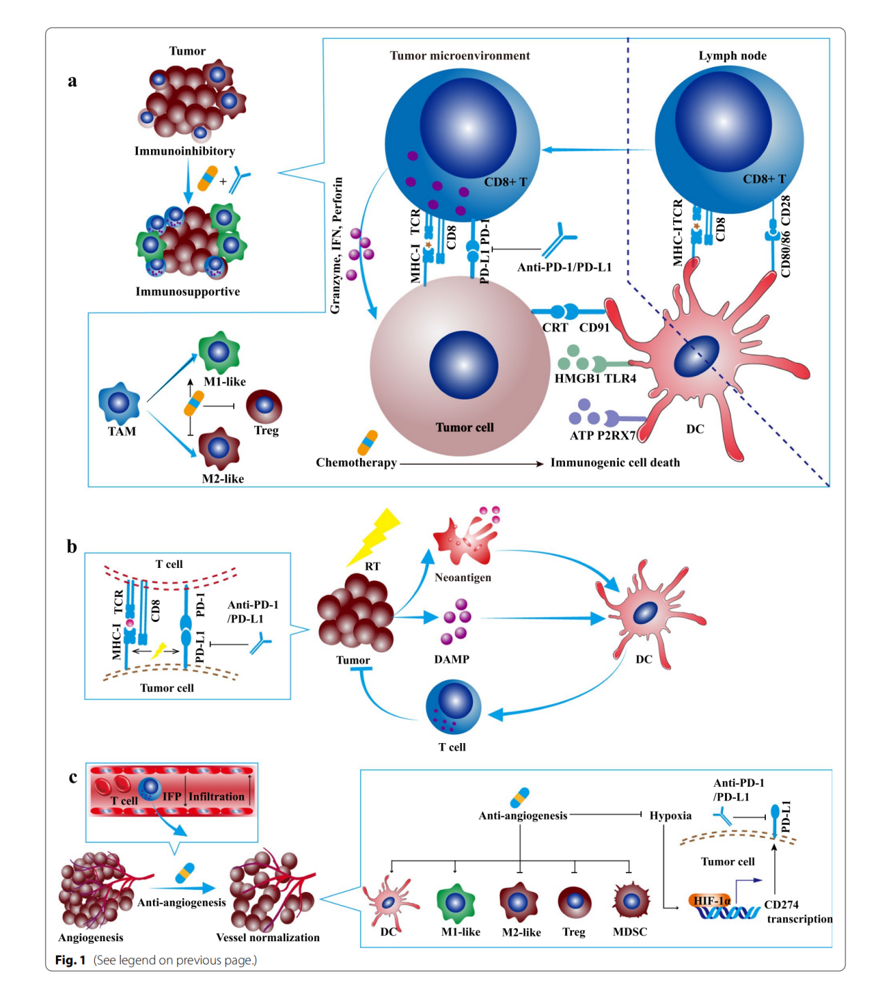 Tumor escape switch PD-1 PD-L1
