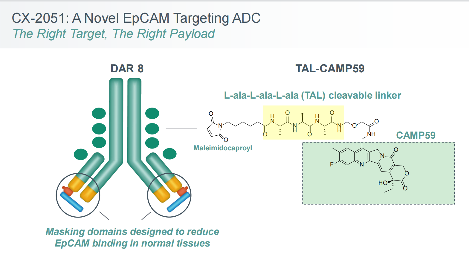Tumor immune escape promoting factor EpCAM