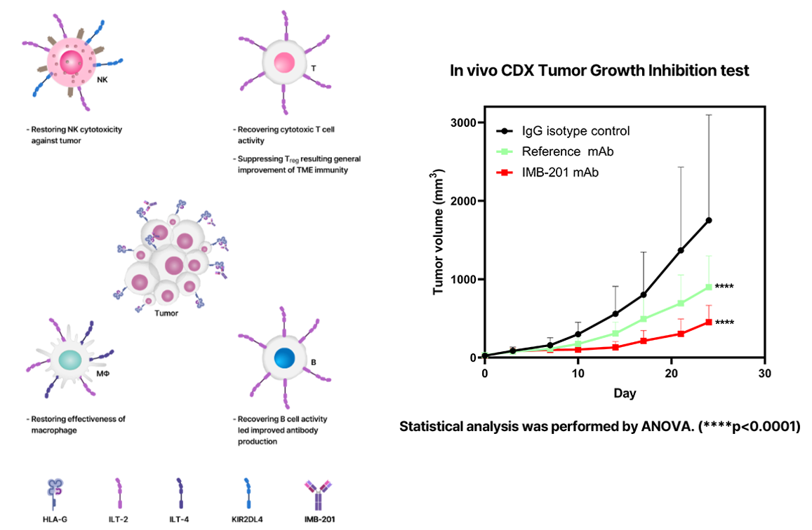 Tumor immune escape therapy target HLAG