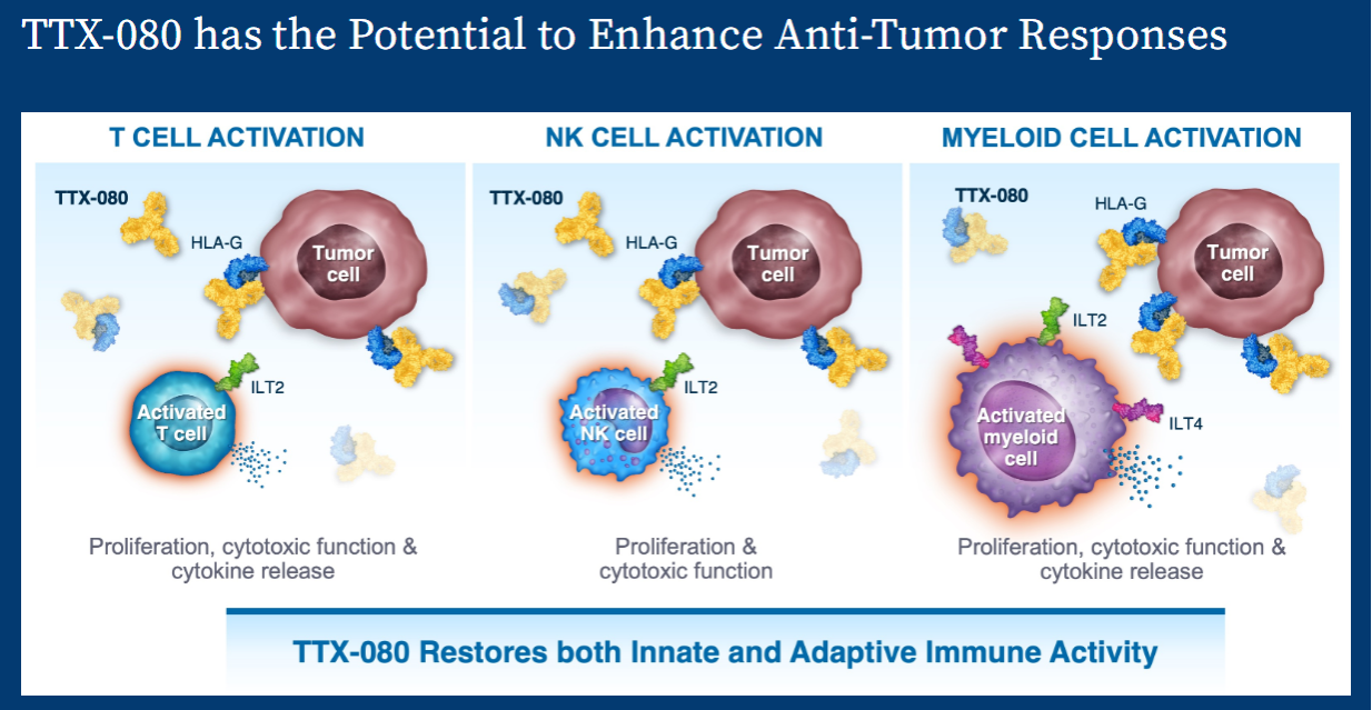 Tumor immune escape therapy target HLAG