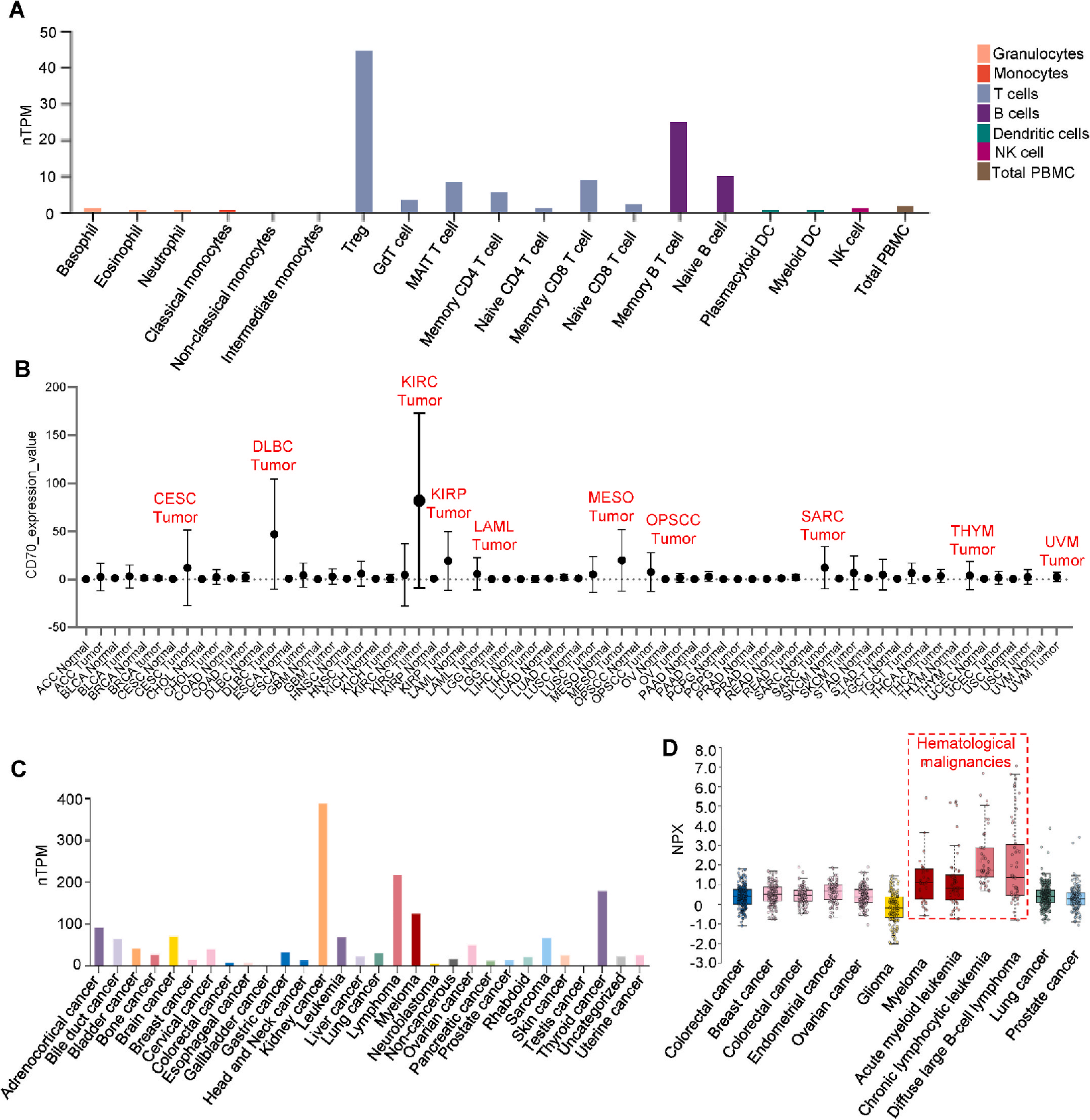 Tumor immune regulator CD70