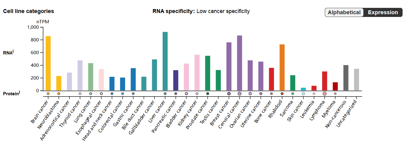 Tumor microenvironment homeostasis regulator CLU