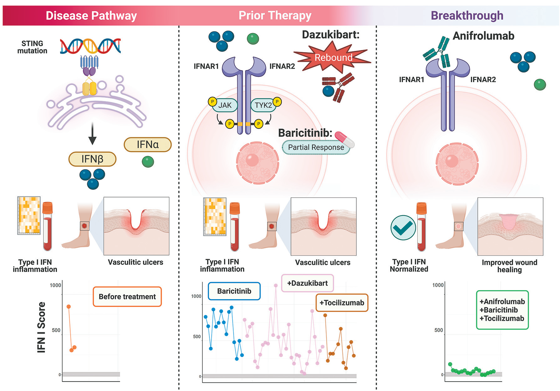 Type I interferon targets IFNA1 and IFNB