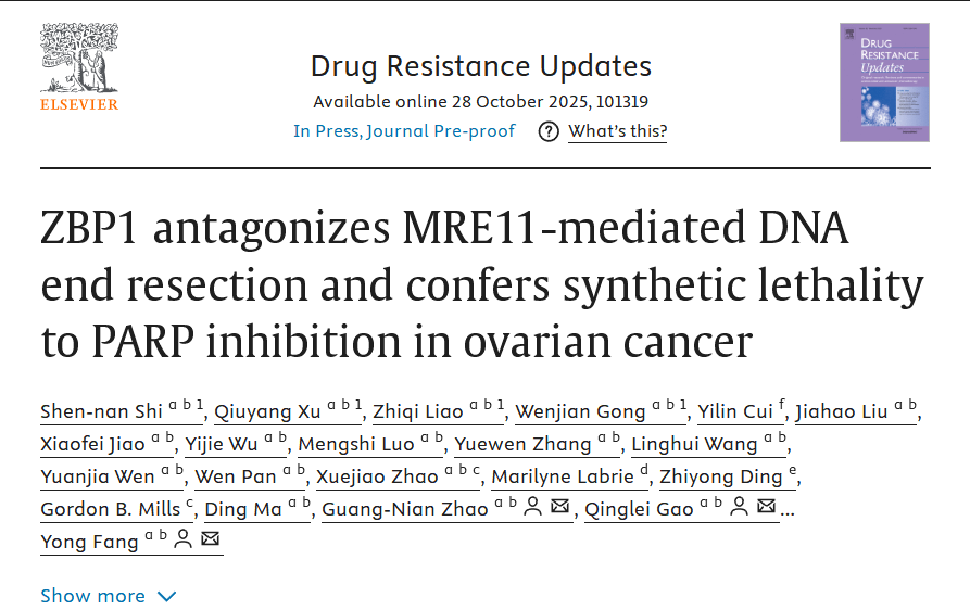 ZBP1 can antagonize the DNA end excision mediated by MRE11