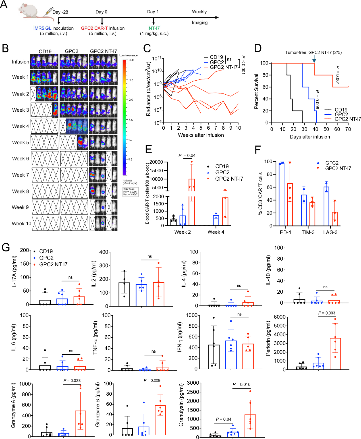 rhIL-7-hyFc improves the efficacy of CAR-T cells in the treatment of solid tumors