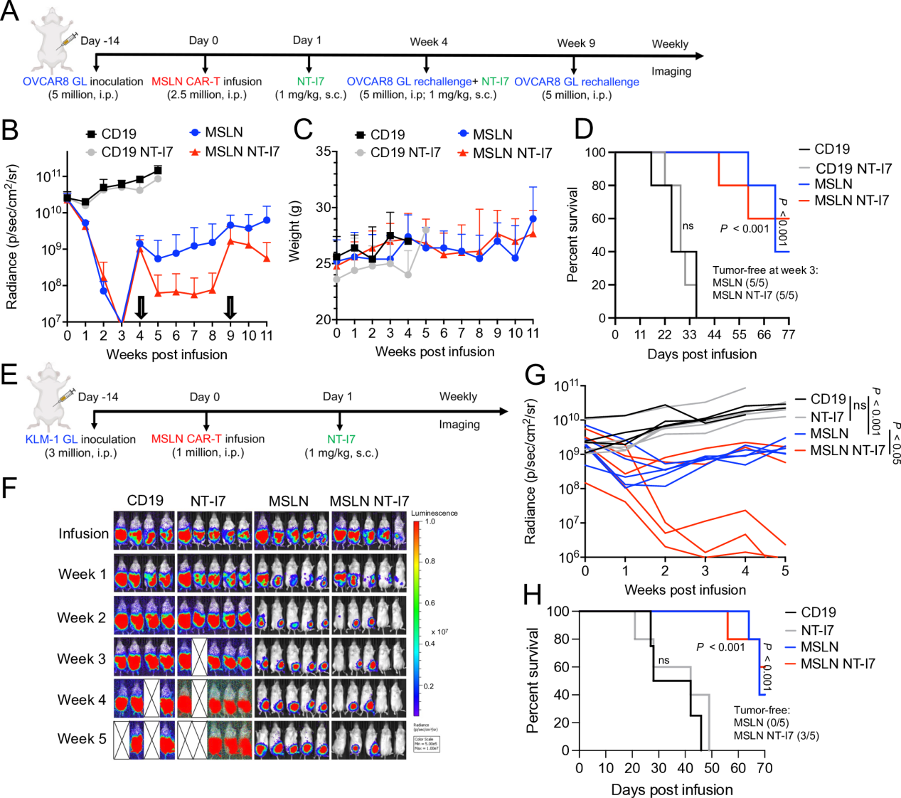 rhIL-7-hyFc improves the efficacy of CAR-T cells in the treatment of solid tumors