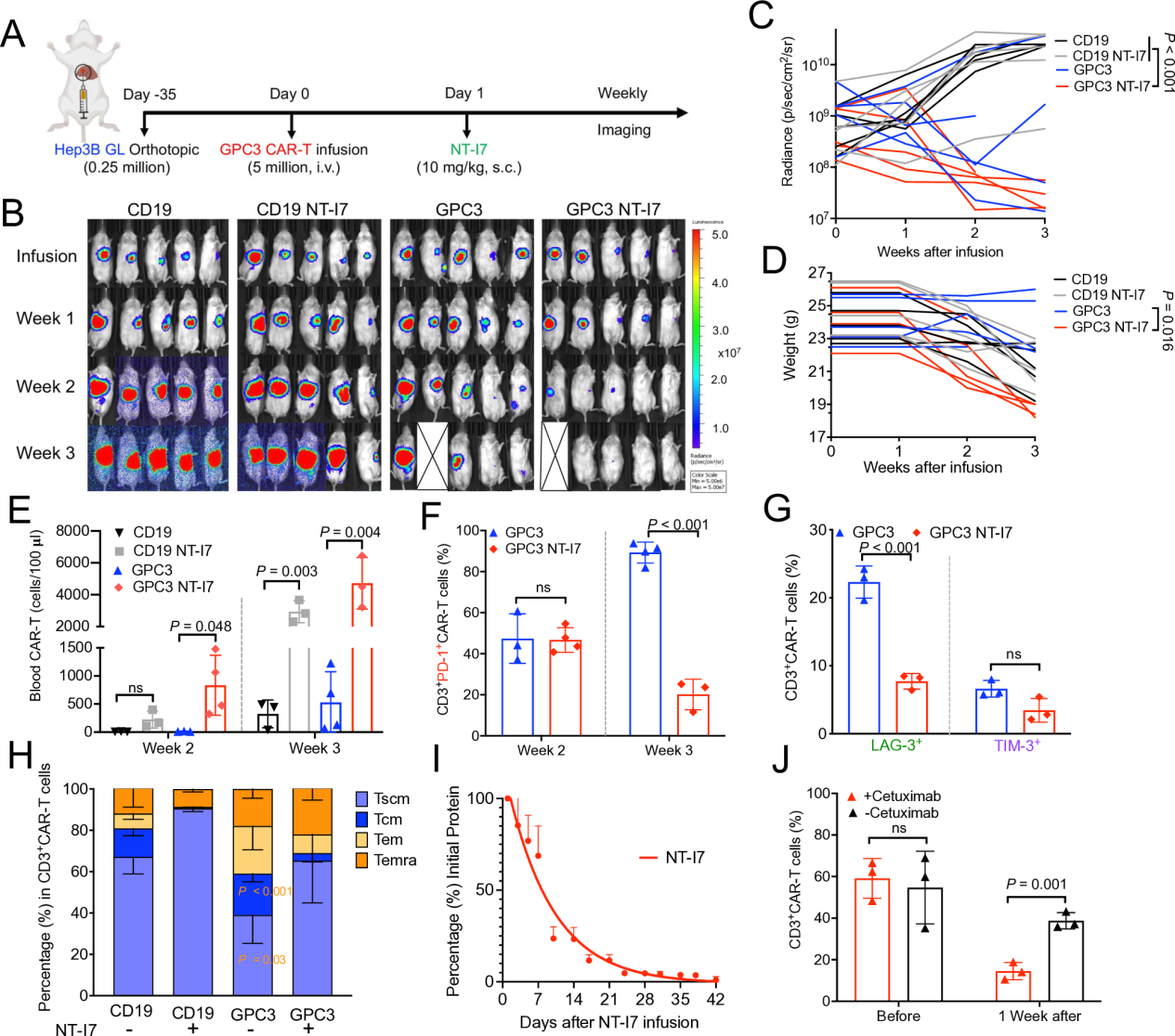 rhIL-7-hyFc improves the efficacy of CAR-T cells in the treatment of solid tumors
