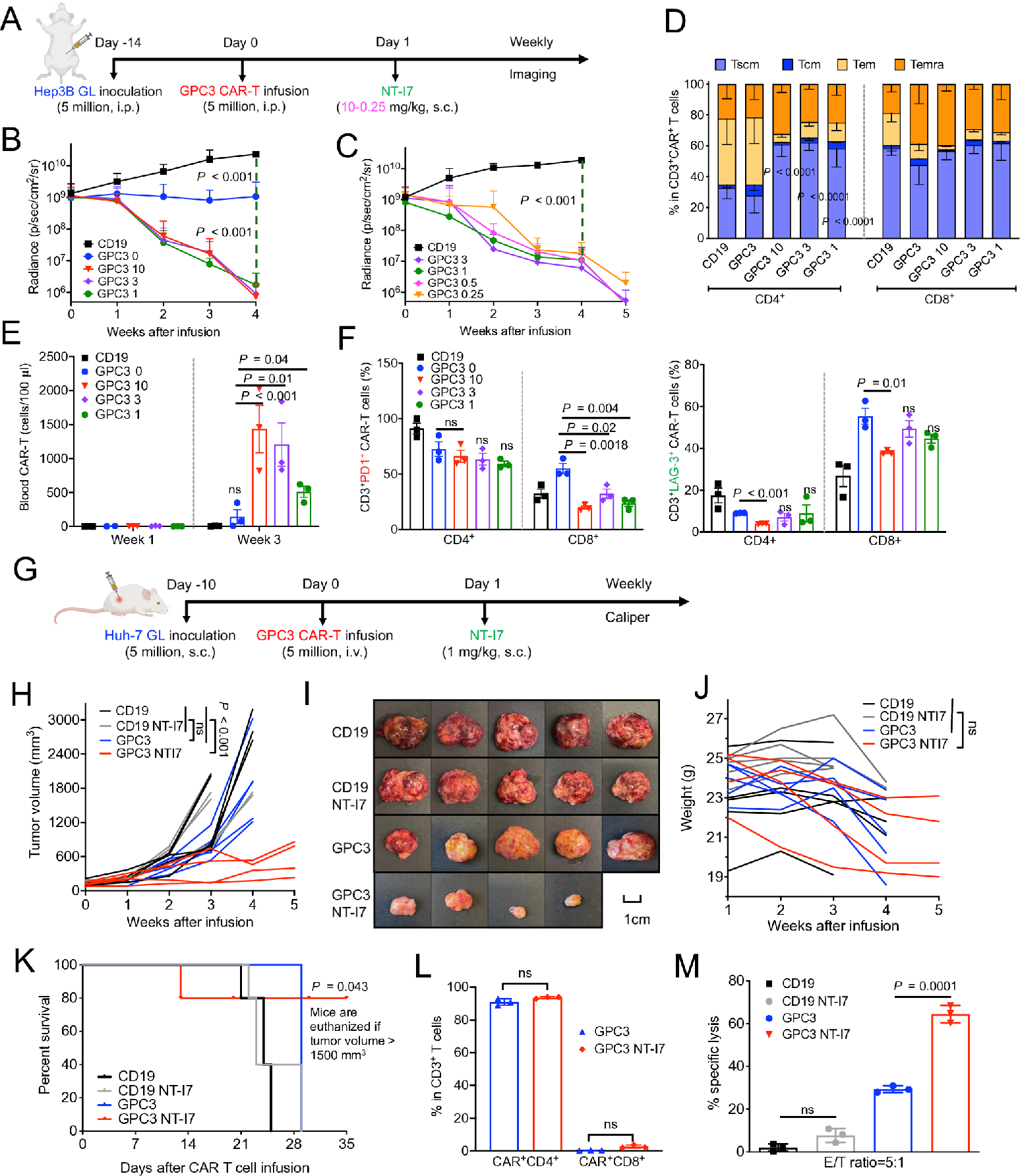 rhIL-7-hyFc improves the efficacy of CAR-T cells in the treatment of solid tumors